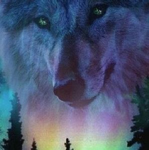 Meet your Posher, Betty